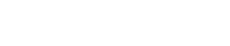 Caii Logo